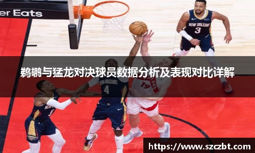 鹈鹕与猛龙对决球员数据分析及表现对比详解